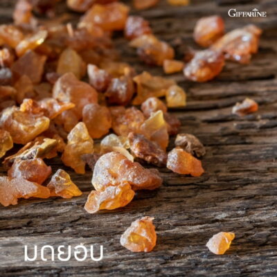 ยาสีฟัน กิฟฟารีน ไบโอเฮอร์เบิล