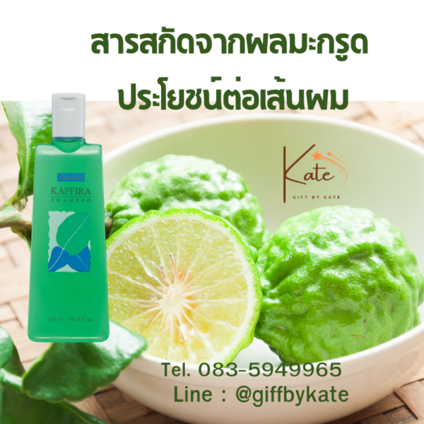 แชมพูมะกรูด กิฟฟารีน คาฟิร่า