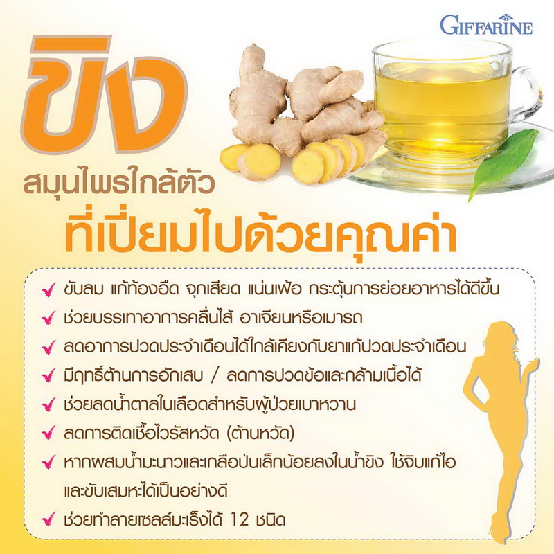 ขิงกิฟฟารีน
